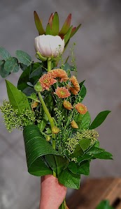 Kukkakauppa Tulikukka place picture